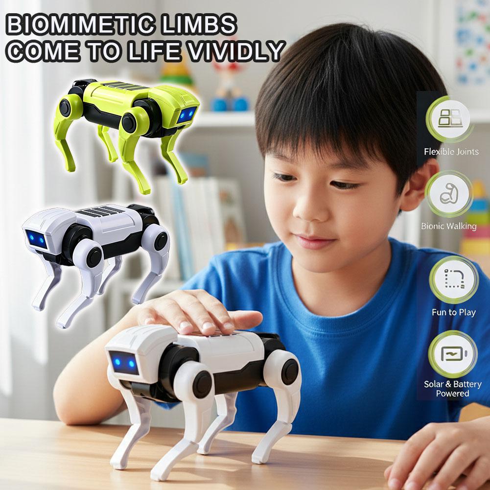 Science Project Robot - Kit Robot Cane Telecomandato Fai-da-Te, Modello