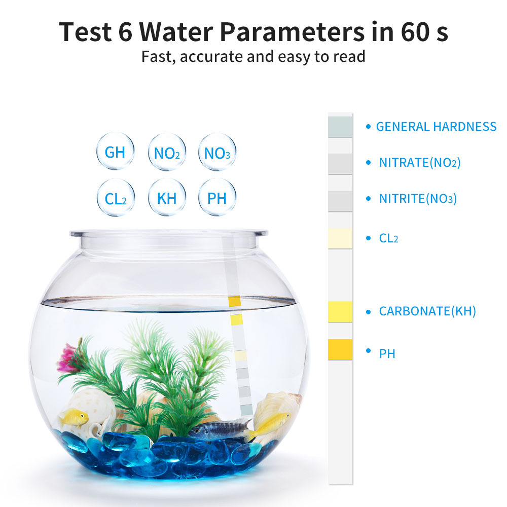 Strisce reattive 6-In-1 per la - Water Testing Kit recensione e prezzo