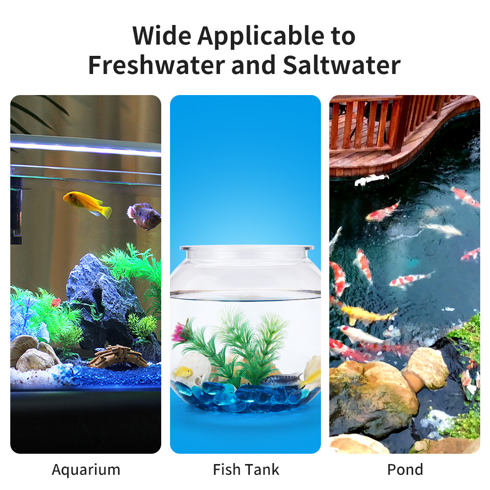Strisce reattive 6-In-1 per la - Water Testing Kit recensione e prezzo