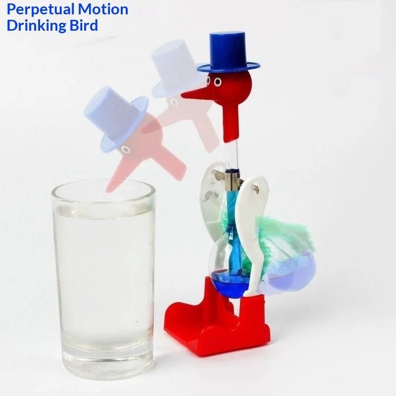 Uccellino che Beve e Balla su  - Science Bob recensione e prezzo