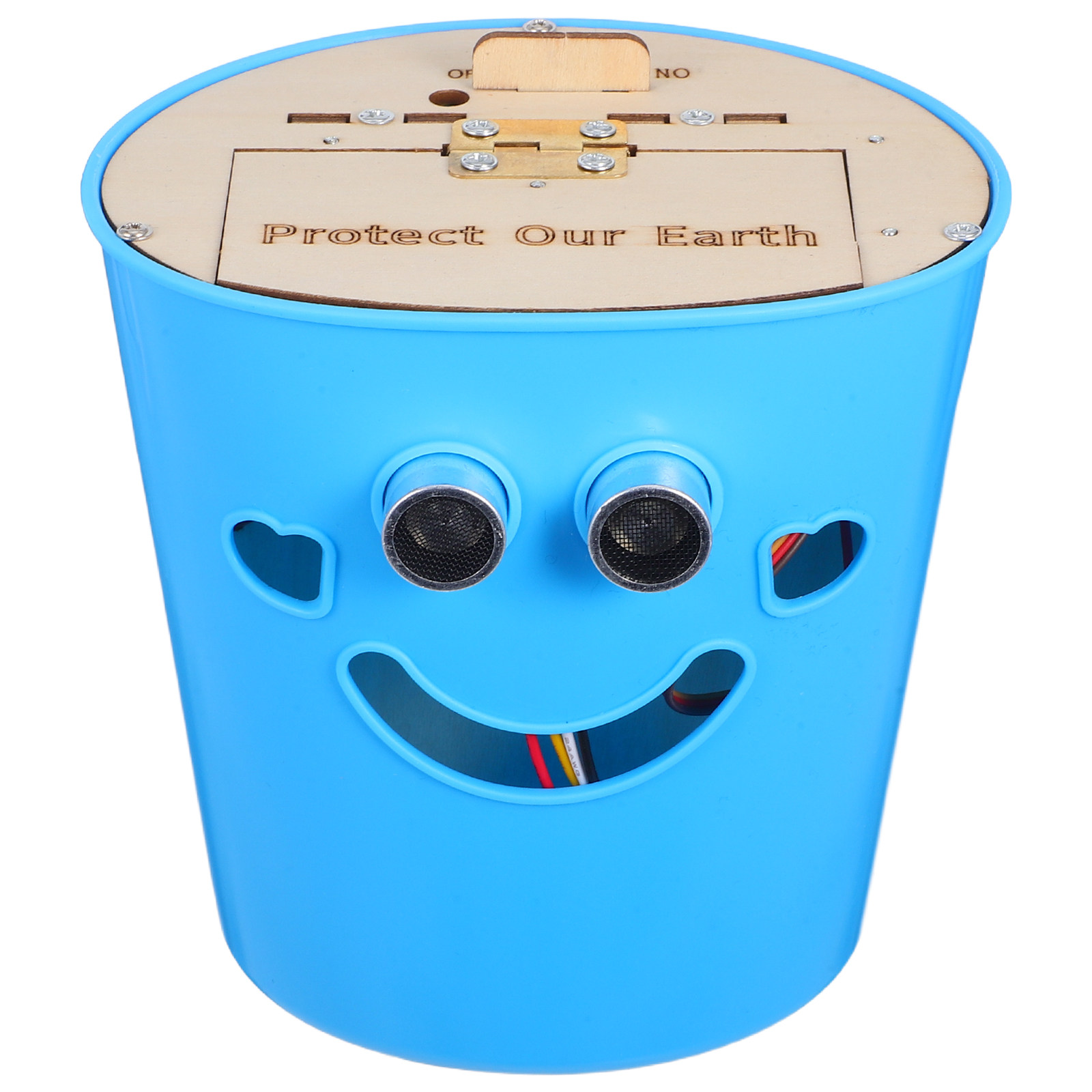 1 Set Kit Fai-da-Te per Cestin - Science Project Kit recensione e prezzo