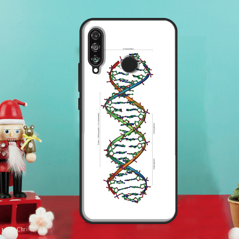 Illustrazione scientifica retr - Science Nova recensione e prezzo
