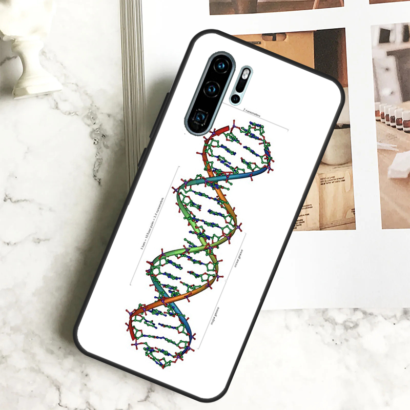 Custodia per Huawei Nova 7i 8i - Science Nova recensione e prezzo